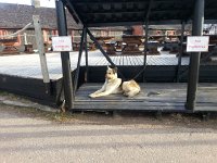 20150606 200821  Receptioni committee/parking attendant