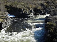 DSCN3117  There is a LOT of water in this landscape