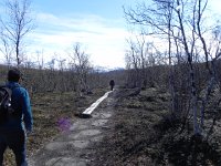 DSCN3120  It can be muddy, or they are trying to protect the plants in the National Park.