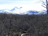 DSCN3122  Our group went on a short hike.