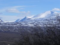 DSCN3138  right at treeline