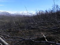 DSCN3146  There had been an avalanche this past winter