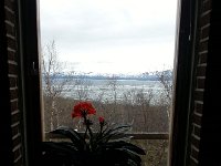 20150607 090614  Station house plants