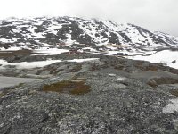 DSCN3160  It still looked like &#34;spring&#34; in the north