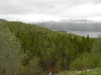 DSCN3167  Hard to believe but a few hundred meters down and everything was green(er)