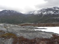 DSCN3176  We drove to the top of the transect and then walked down.