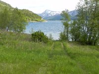 DSCN3203  Green again!