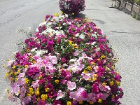 20150629 170109  Flowers in front of the hotel in Serre-Chevalier