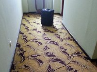 20150622 081436  but was betrayed by things like exposed ethernet cables in the hall