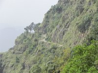 DSCN3895  It needed to be!