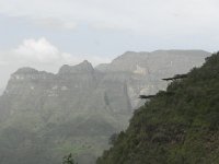 DSCN3905  Layers in the rock and in the canopy