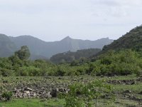 DSCN3921  Fields of stones