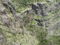 DSCN3955  Luxurious plant growth where domestic animals don&#39;t go