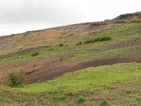 DSCN3983  In many places, the soil is just gone