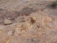 DSCN3987  Volcanic bombs!