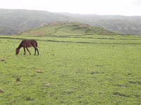 DSCN3988  Flatter surfaces are not eroded but rather grazed flat