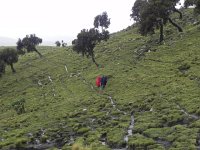 DSCN3992  Some of our crew coming up the hill