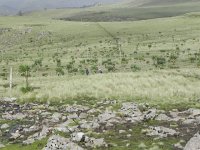 DSCN4003  It is spacious up here