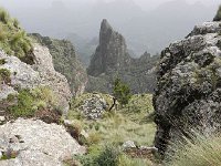 DSCN4012  but striking