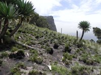 DSCN4021  Evidence of fire