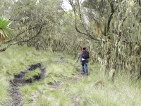 DSCN4023  Hiking up through the Erica forests