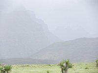 DSCN4026  Instead of following the escarpment, we followed the ridge back to the road