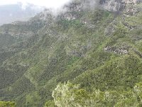 DSCN4031  Escarpment