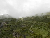 DSCN4032  and the wet landscape above it