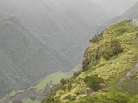 DSCN4035  The trail down