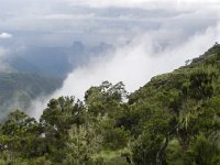 DSCN4057  a bit unearthly