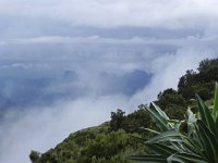 DSCN4060  landscapes