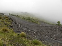 DSCN4065  The switchbacks on the road to the pass