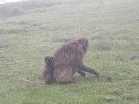 DSCN4075  On the lookout