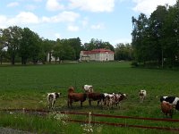 20150601 132900  An hour outside Stockholm it is very agricultural.