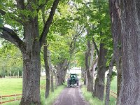 20150601 133029  Farmer scrapping down the washboard on the road.