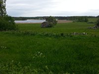 20150602 161538  Glacial erratic with lake slowly filling in via cattails.