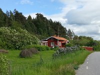 20150603 162719  Strong winds were frequent here.