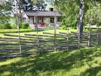 20150603 165018  How to make a fence from spindly trees.