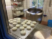 20150610 113645  We headed north to visit a dairy