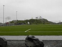 DSCN3367  Astroturf!