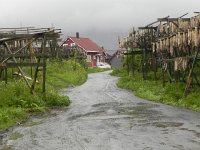 DSCN3371  Fish, fish everywhere!