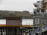 DSCN3389  Still, all those dead fish all around!