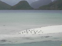 DSCN3393  Not having driven enough, we did a circuit on the north of Austvagoy