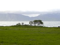 DSCN3396  Looking north across Hadselfjorden to the next islands