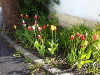 20150611 084135  What is that light in the sky?