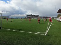 20150611 161220  with astroturf