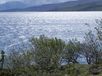 DSCN3408  Plains of Blue Heaven