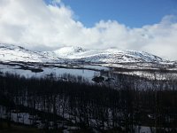 20150608 130634  Right at treeline