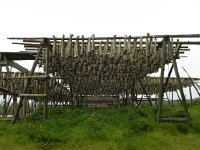 DSCN3256  Drying codfish - they are everywhere here.