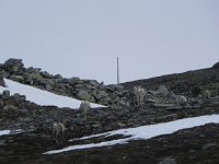 DSCN3421  Off they go